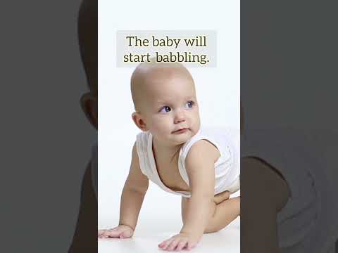 6-Month-Old Baby’s Development and Milestones