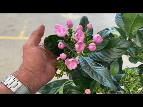 質の高い飼料とは何ですか?