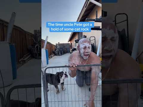 Uncle Pete #cat #shorts #funny #comedy