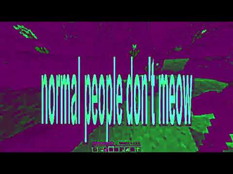 Video thumbnail for Kool kool kitty