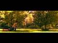 Wilco - I Must Be High