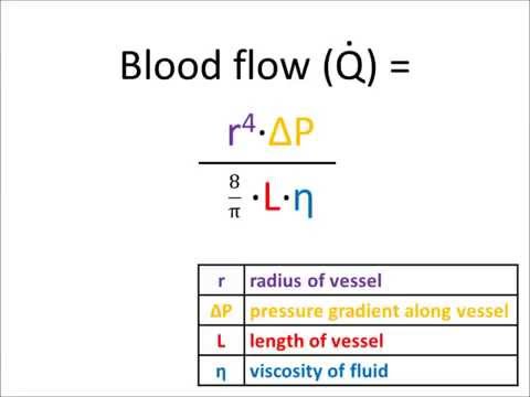 Poiseuille's Law of Laminar Flow (music video)