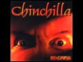 Chinchilla Madness
