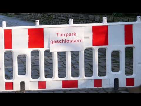 Teil 1: Was ist los im Tierpark Olderdissen?