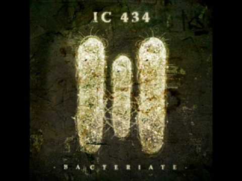 IC 434-Bacteriate