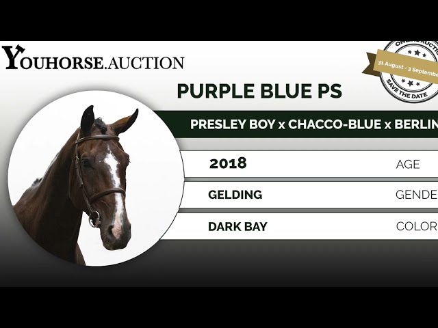 Purple Blue PS