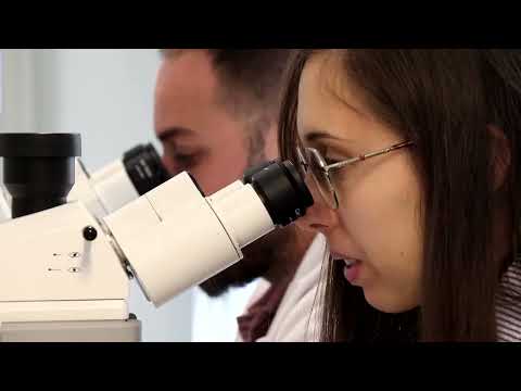 スペインの科学者が魚の鱗から人工角膜を開発 (Spanish scientists develop artificial cornea from fish scales)