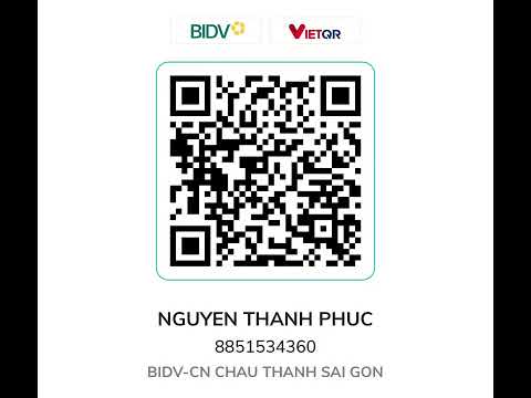 PHÚC REY - HỌ CHƯA TỪNG SAI