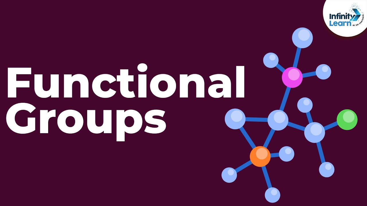 Introduction to Functional Groups | Don't Memorise