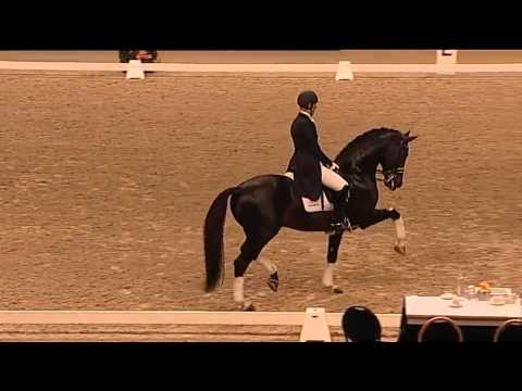 Netto (by Negro x Purioso)