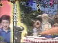 Opening To Muppet Sing Alongs Billy Bunny S Animal Songs 1998 VHS