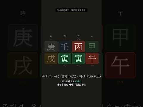 일간이 자기 길을 고집하면 도리어 짐이 된다 | 알고리즘으로 푸는 사주 6