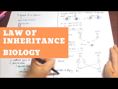 Biology- Law of Inheritance Video