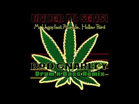 Mr Vegas ft  Alozade + Hollow Point - Under Mi Sensi (Rod Gnarley Drum & Bass Remix)