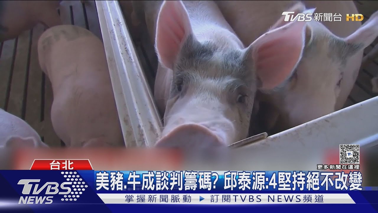 美豬、牛成談判籌碼? 邱泰源:4堅持絕不改變