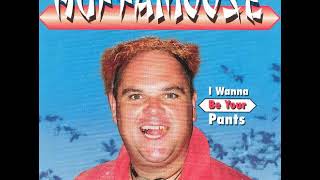 13 •  Huffamoose - New Hit Song  (Demo Length Version)