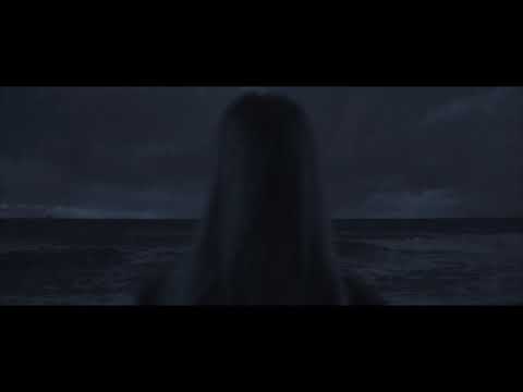 Vidas Bareikis - Lietus (official video)