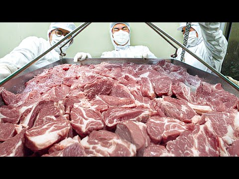 Fantastic korean food mass production and manufacturing process video / korean food factory