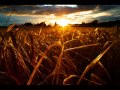 L'annulaire - Beth Gibbons 