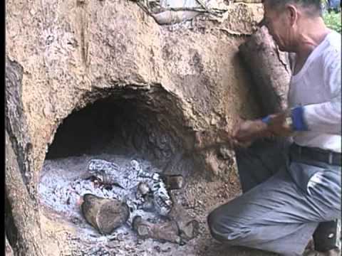 龍眼加工 龍眼乾