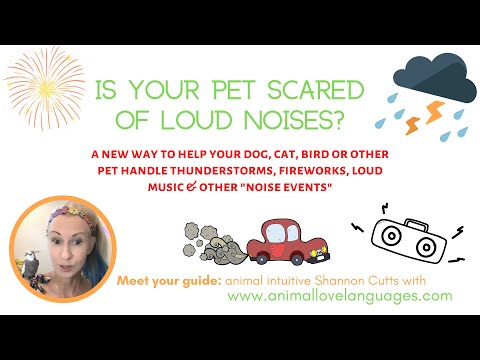 Easy Free Method to Help Pets Dogs Cats Birds Afraid of Loud Noises