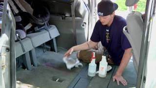 Auto Detailing : How to Get Rid of Vomit Smell in a Car