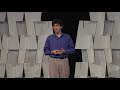 Evolution, equilibrium, and global extinction | Justin Werfel | TEDxBeaconStreet