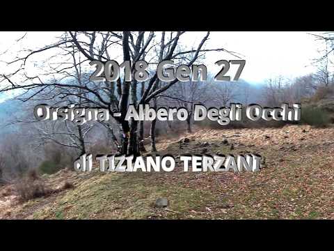 2018 01 27 Orsigna Albero con Gli occhi con Michela Arceri