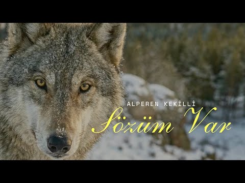 Alperen Kekilli – Sözüm Var (Yeni Klip) | Resmi Video