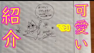 《番外編》カイマナふぁみりーさんのCD買ったので、みなさんにも紹介します☆彡