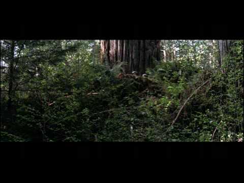 Ewoks: A Horror Film