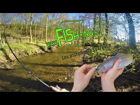 Lov pstruhů na svazovce (trout fishing) pouštějte v 108060p