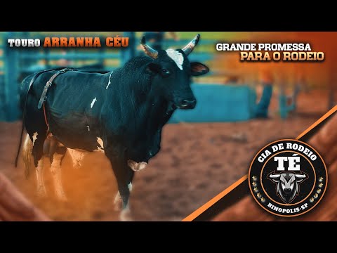 TREINO na CIA de RODEIO TÉ - RINÓPOLIS-SP (2024) | #PART1