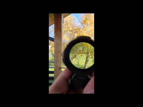 celownik pryzmatyczny x3 3x20 TWS Micro Prism