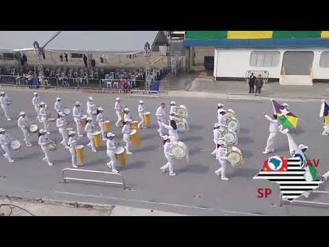 Desfile 7 De Setembro São Paulo Anhembi 