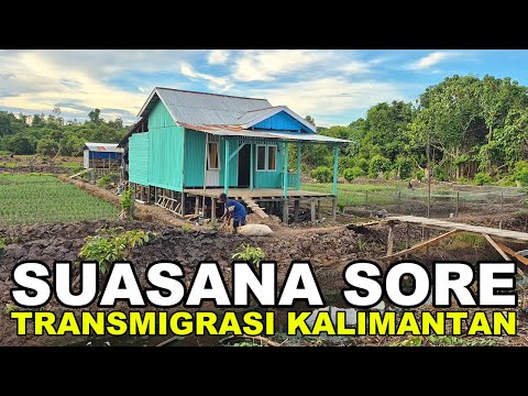 ACTIVITIES OF WANI RANTAO FAMILIES TAKING CARE OF GARDENS AND LIVESTOCK IN NORTH KALIMANTAN TRANS...