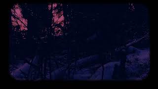 Hexvessel - Horse Tears [Official Visualizer]