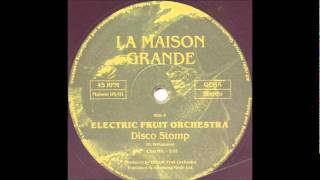 Electric Fruit Orchestra - Disco Stomp