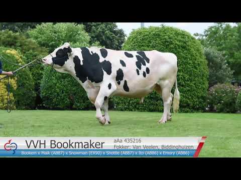 VVH Bookmaker promofilm 2020