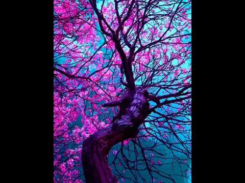 Puissante Dua De Guérison Miraculeuse  Descendue Par L' Ange Gabriel