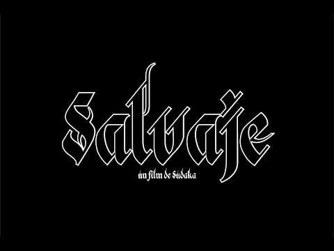 Davis FIO  - Salvaje (video oficial)