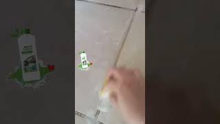 Download lagu Limpieza de cerámicos LOC Amway mp3