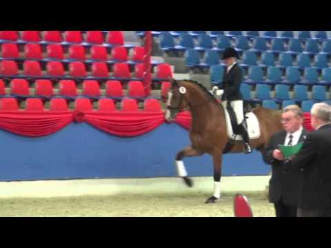 VECSattekoerung2014 Lissaro SirDonnerhall