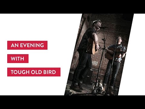 A Modern Folk Music Event | Tough Old Bird