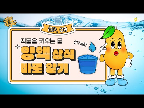 스마트팜의 양액 아시나요? [스팜 Light] EP.09
