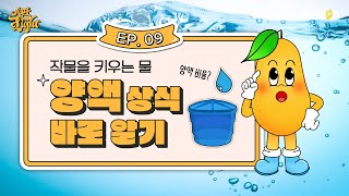 스마트팜의 양액 아시나요? [스팜 Light] EP.09