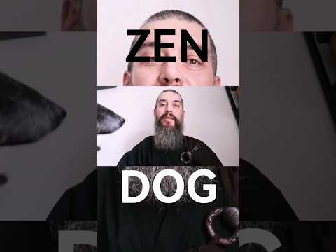 Awakening of the Zen dog. Das Erwachen des Zen Hundes.