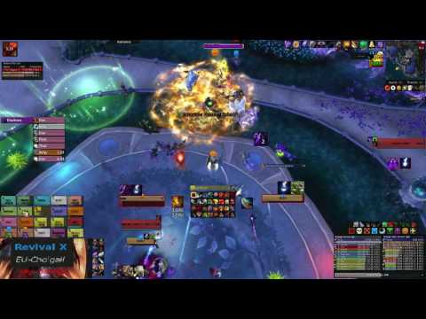 High Botanist Tel'arn Mythic War Prot Pov