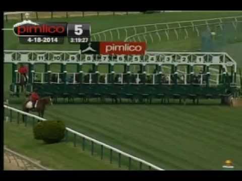Pimlico 04/18/14 race 5