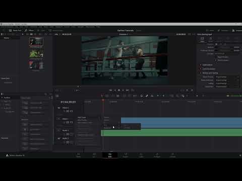 How to Add a New Audio Track in DaVinci Resolve in 17 seconds
